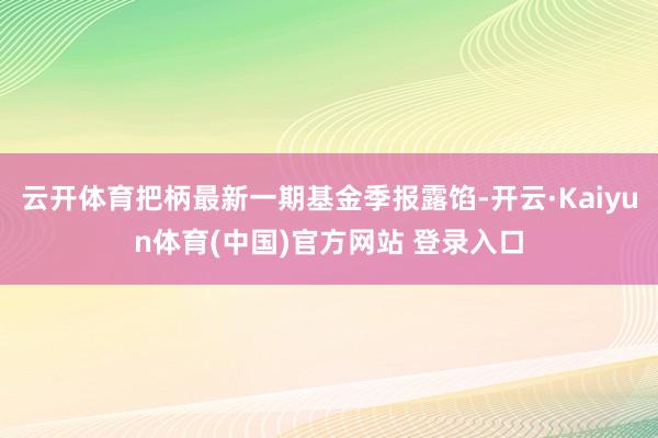 云开体育把柄最新一期基金季报露馅-开云·Kaiyun体育(中国)官方网站 登录入口